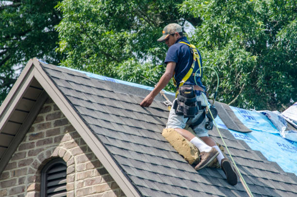 Best Roof Maintenance Services  in Hockinson, WA